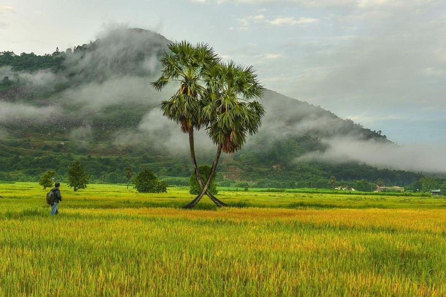 du lịch tây ninh
